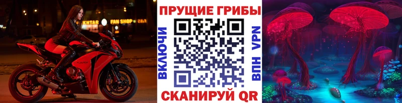 Галлюциногенные грибы MAGIC MUSHROOMS  блэк спрут маркетплейс  Гай 